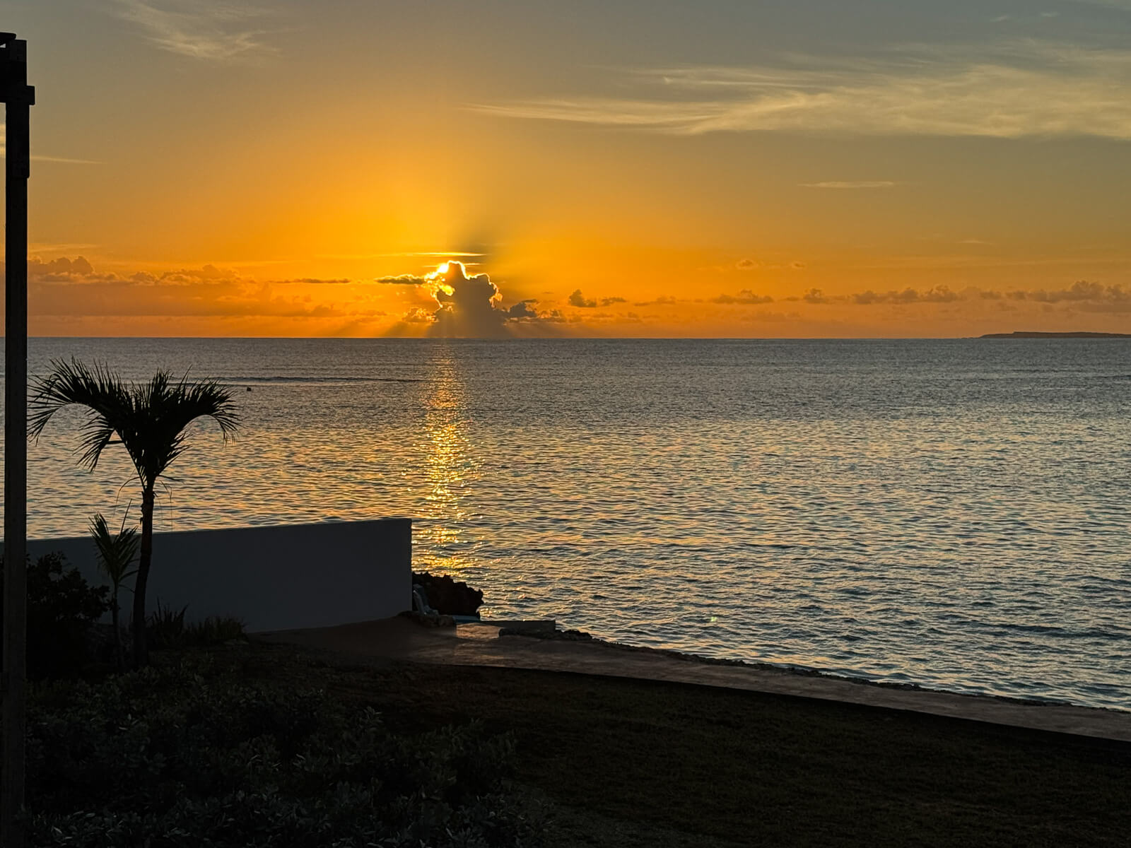 The Dock — dock edge at golden hour, warm light on the water